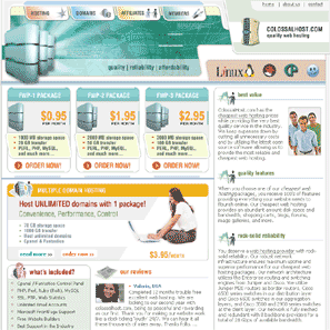 Cheap Shared SSL Business Web Hosting Example