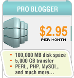 Pro Blogger Web Hosting Package