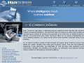 ECommerce Web Site Solutions - Outsource eCommerce Website Design & Affordable eCommerce Website Development india