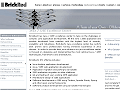 Offshore Java J2EE software application development consultancy programming india